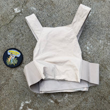 Load image into Gallery viewer, First Spear Tan Medium Less Than Overt NSW Low Vis Chicken Plate Carrier
